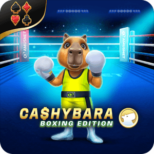 Cashybara Boxing Edition