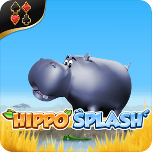 Hippo Splash