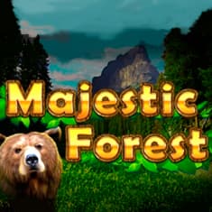 Majestic Forest