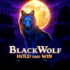 Black Wolf