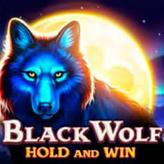 Black Wolf