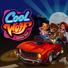 Cool Wolf