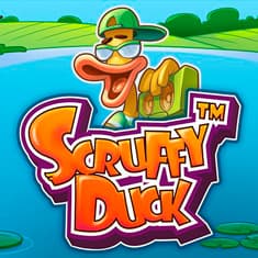 Scruffy Duck