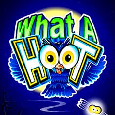 What a Hoot
