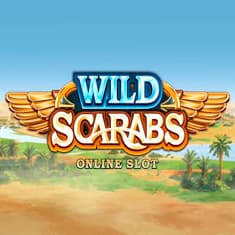Wild Scarabs