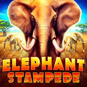 Elephant Stampede
